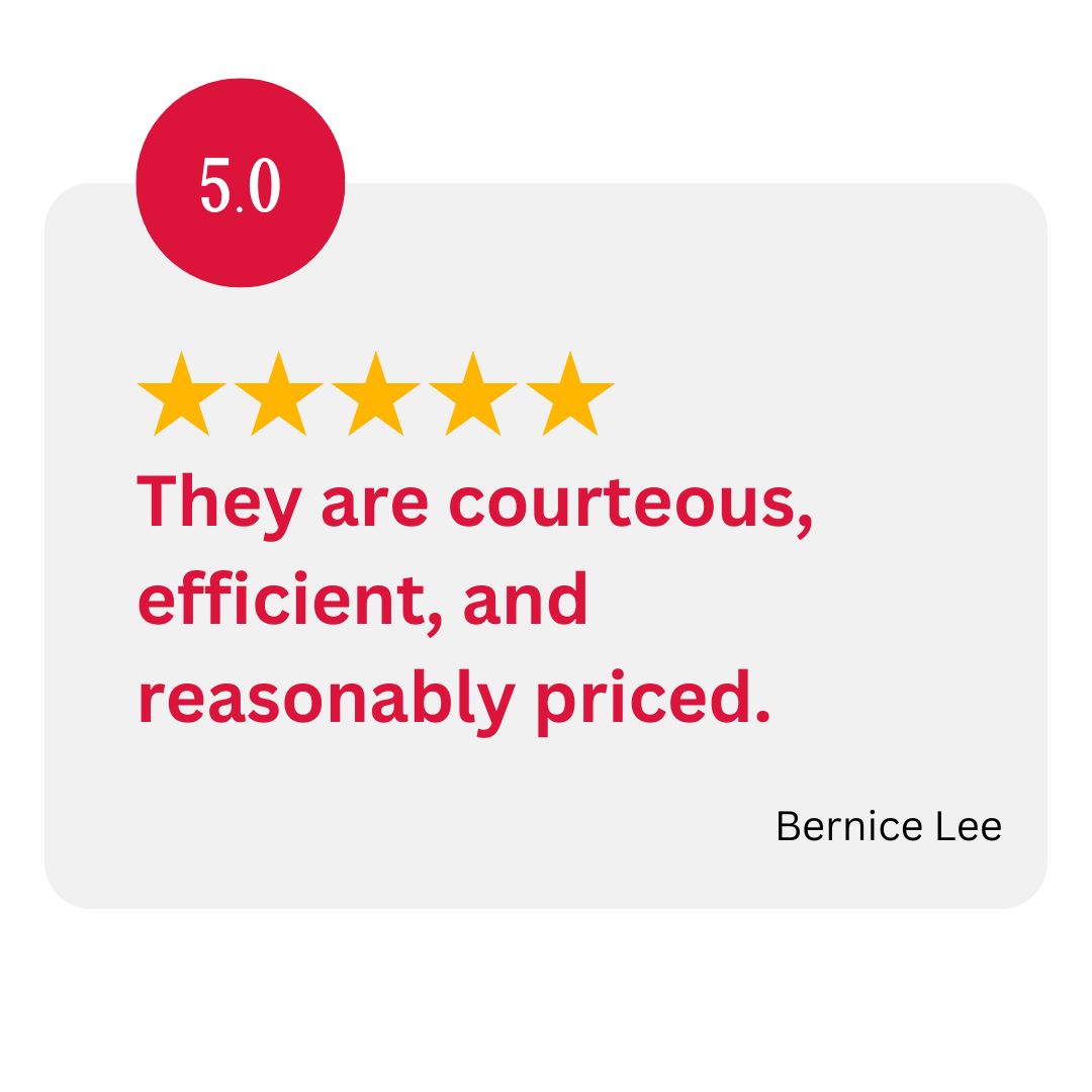 Google 5.0 Star Rating Badge